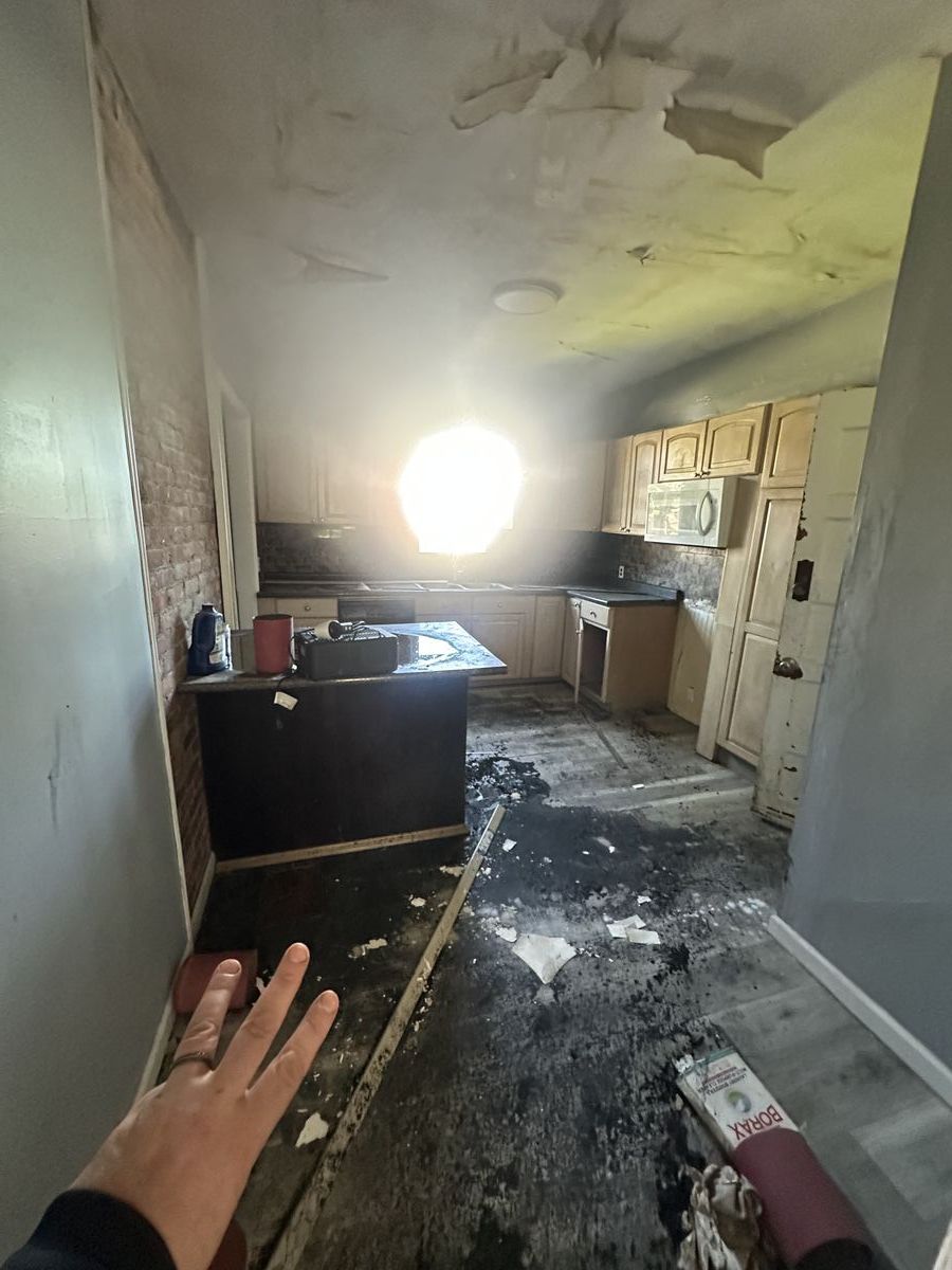 Severe black mold growth on kitchen walls requiring professional remediation