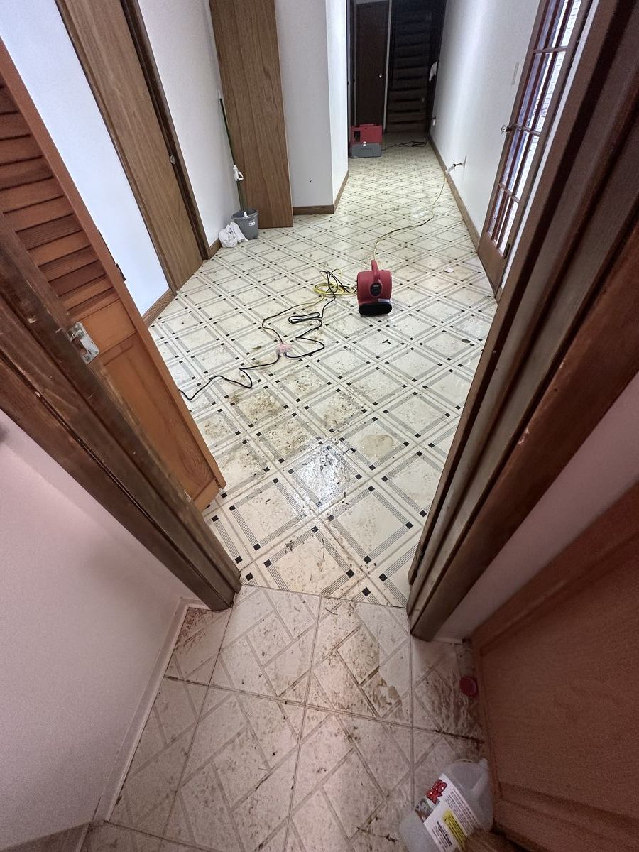 Storm water damage to ceiling tiles with professional dehumidification equipment deployed