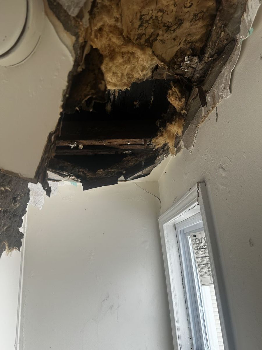 Ceiling collapsed from water intrusion exposing insulation and rotted framing